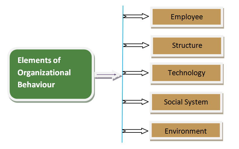 The Fundamental Elements of Organizational Behavior (OB